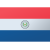 Flag of paraguay